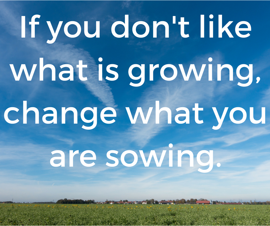 If you don't like what is growing, then change what you are sowing..png